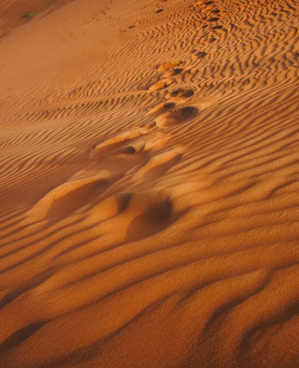 A line of footprints crossing rippled orange dune sand.