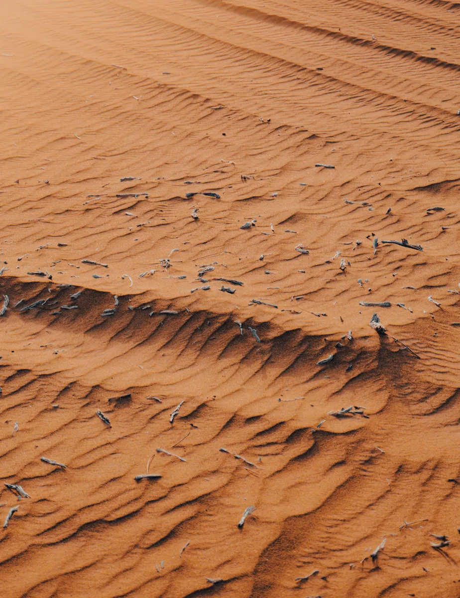 Wind ridges and scattered twigs recorded across an orange dune face.